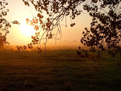 st sauveur le vicomte, les marais à l'aube 