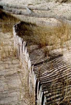 dunes de biville photo1
